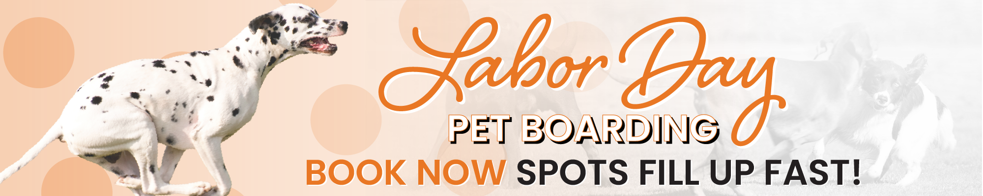 Book your pet's boarding appointment on our app!