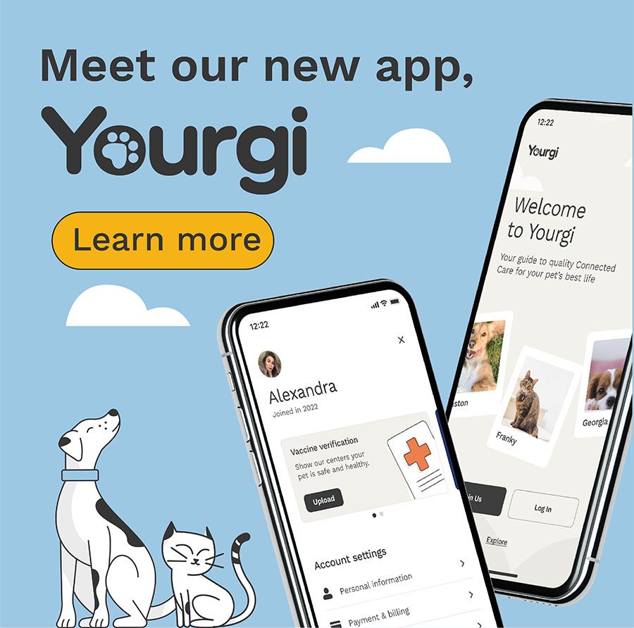 Book your pet's daycare appointment on our app!